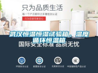 知識百科武漢恒溫恒濕試驗箱，溫度循環恒溫箱