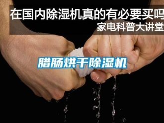行業(yè)新聞臘腸烘干除濕機(jī)