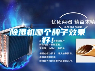 常見問題除濕機(jī)哪個(gè)牌子效果好！