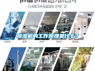 企業新聞除濕機的工作原理是什么？