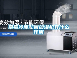 企業(yè)新聞草莓冷庫(kù)配置加濕機(jī)有什么作用