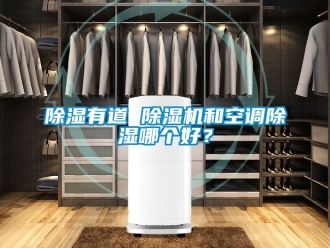 行業(yè)新聞除濕有道 除濕機和空調除濕哪個好？