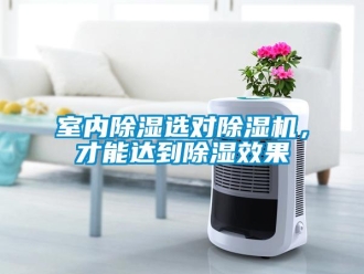 知識百科室內除濕選對除濕機，才能達到除濕效果