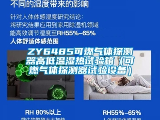 常見(jiàn)問(wèn)題ZY6485可燃?xì)怏w探測(cè)器高低溫濕熱試驗(yàn)箱（可燃?xì)怏w探測(cè)器試驗(yàn)設(shè)備）