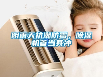 知識百科陰雨天抗潮防霉，除濕機首當其沖