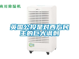 知識百科英國公投是對西方民主的巨大諷刺