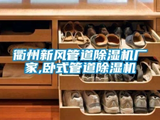 企業新聞衢州新風管道除濕機廠家,臥式管道除濕機