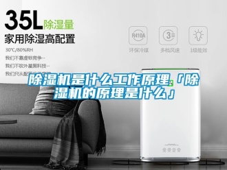 行業新聞除濕機是什么工作原理「除濕機的原理是什么」