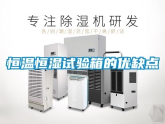知識百科恒溫恒濕試驗箱的優(yōu)缺點
