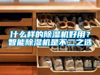 知識百科什么樣的除濕機(jī)好用？智能除濕機(jī)是不二之選