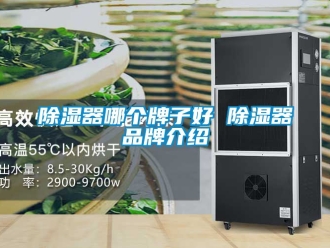 行業新聞除濕器哪個牌子好 除濕器品牌介紹