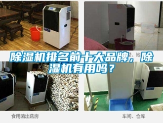 企業(yè)新聞除濕機排名前十大品牌，除濕機有用嗎？