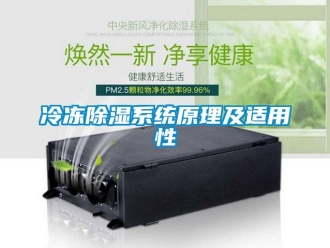 行業新聞冷凍除濕系統原理及適用性