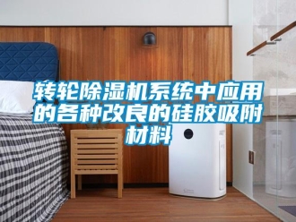 知識百科轉輪除濕機系統中應用的各種改良的硅膠吸附材料