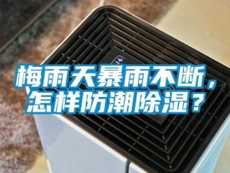 常見問題梅雨天暴雨不斷，怎樣防潮除濕？