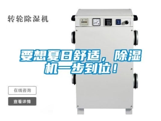 知識百科要想夏日舒適，除濕機一步到位！