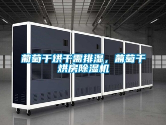 行業(yè)新聞葡萄干烘干需排濕，葡萄干烘房除濕機(jī)