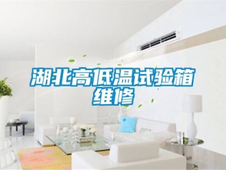 常見問題湖北高低溫試驗(yàn)箱維修