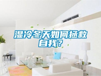 常見(jiàn)問(wèn)題濕冷冬天如何拯救自我？