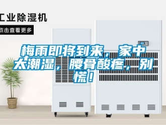 行業新聞梅雨即將到來，家中太潮濕，腰骨酸疼，別慌！