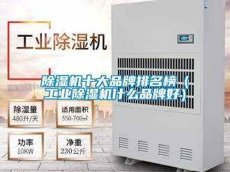 常見(jiàn)問(wèn)題除濕機(jī)十大品牌排名榜（工業(yè)除濕機(jī)什么品牌好）