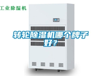 常見問題轉(zhuǎn)輪除濕機(jī)哪個(gè)牌子好？