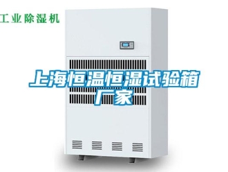 知識百科上海恒溫恒濕試驗箱廠家