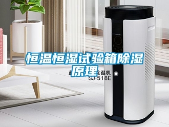 知識百科恒溫恒濕試驗(yàn)箱除濕原理