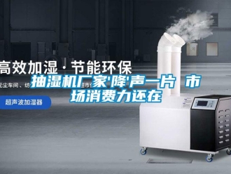 企業新聞抽濕機廠家'降'聲一片 市場消費力還在
