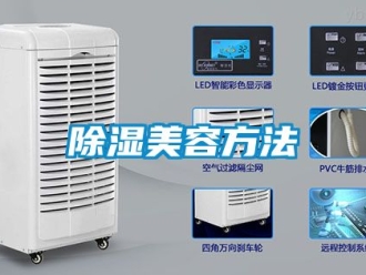 企業新聞除濕美容方法