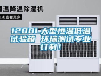 常見問題1200L大型恒溫低溫試驗箱 環(huán)瑞測試專業(yè)訂制！