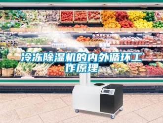 行業新聞冷凍除濕機的內外循環工作原理