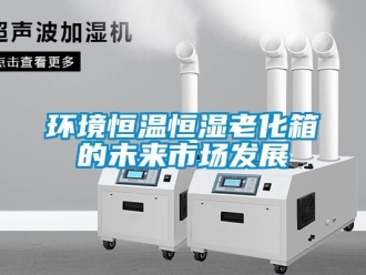 知識百科環境恒溫恒濕老化箱的未來市場發展