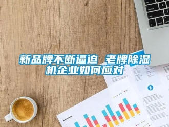常見問題新品牌不斷逼迫 老牌除濕機企業(yè)如何應對