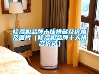 企業新聞除濕機品牌十佳排名及價格及圖片（除濕機品牌十大排名價格）