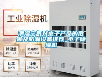 企業(yè)新聞潮濕空氣對電子產(chǎn)品的危害及防潮設(shè)備推薦_電子除濕機