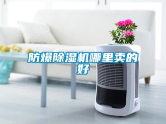 企業(yè)新聞防爆除濕機(jī)哪里賣的好