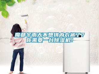 行業(yè)新聞魔都冬雨天不想拼內(nèi)衣褲了？你需要一臺(tái)除濕機(jī)！