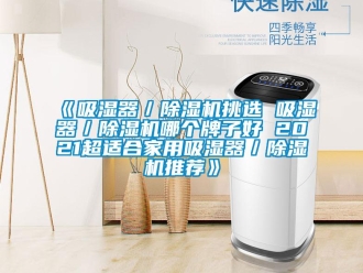 常見問題《吸濕器／除濕機(jī)挑選 吸濕器／除濕機(jī)哪個牌子好 2021超適合家用吸濕器／除濕機(jī)推薦》
