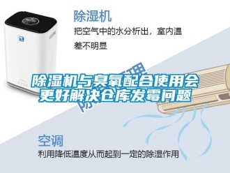 常見問題除濕機與臭氧配合使用會更好解決倉庫發霉問題
