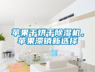 行業(yè)新聞蘋(píng)果干烘干除濕機(jī)，蘋(píng)果滯銷(xiāo)新選擇