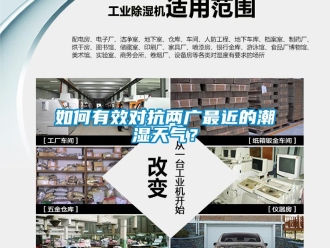 常見問題如何有效對抗兩廣最近的潮濕天氣？