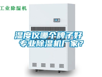 企業(yè)新聞濕度儀哪個(gè)牌子好 專(zhuān)業(yè)除濕機(jī)廠(chǎng)家？