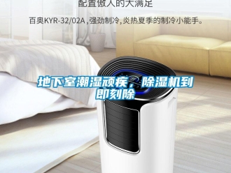 企業新聞地下室潮濕頑疾，除濕機到即刻除