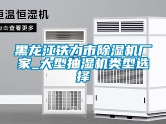 企業新聞黑龍江鐵力市除濕機廠家_大型抽濕機類型選擇