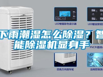 常見問(wèn)題下雨潮濕怎么除濕？智能除濕機(jī)顯身手