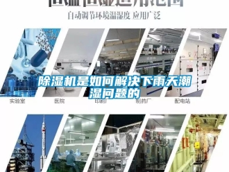 行業新聞除濕機是如何解決下雨天潮濕問題的