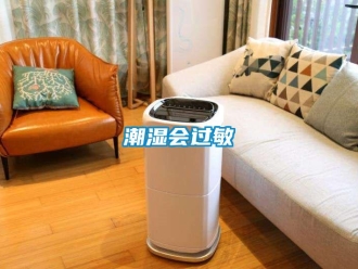 企業(yè)新聞潮濕會(huì)過(guò)敏