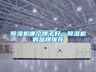 企業新聞除濕機哪個牌子好—除濕機的品牌推薦