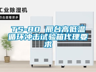 常見問題TS-80 邢臺高低溫循環沖擊試驗箱代理要求